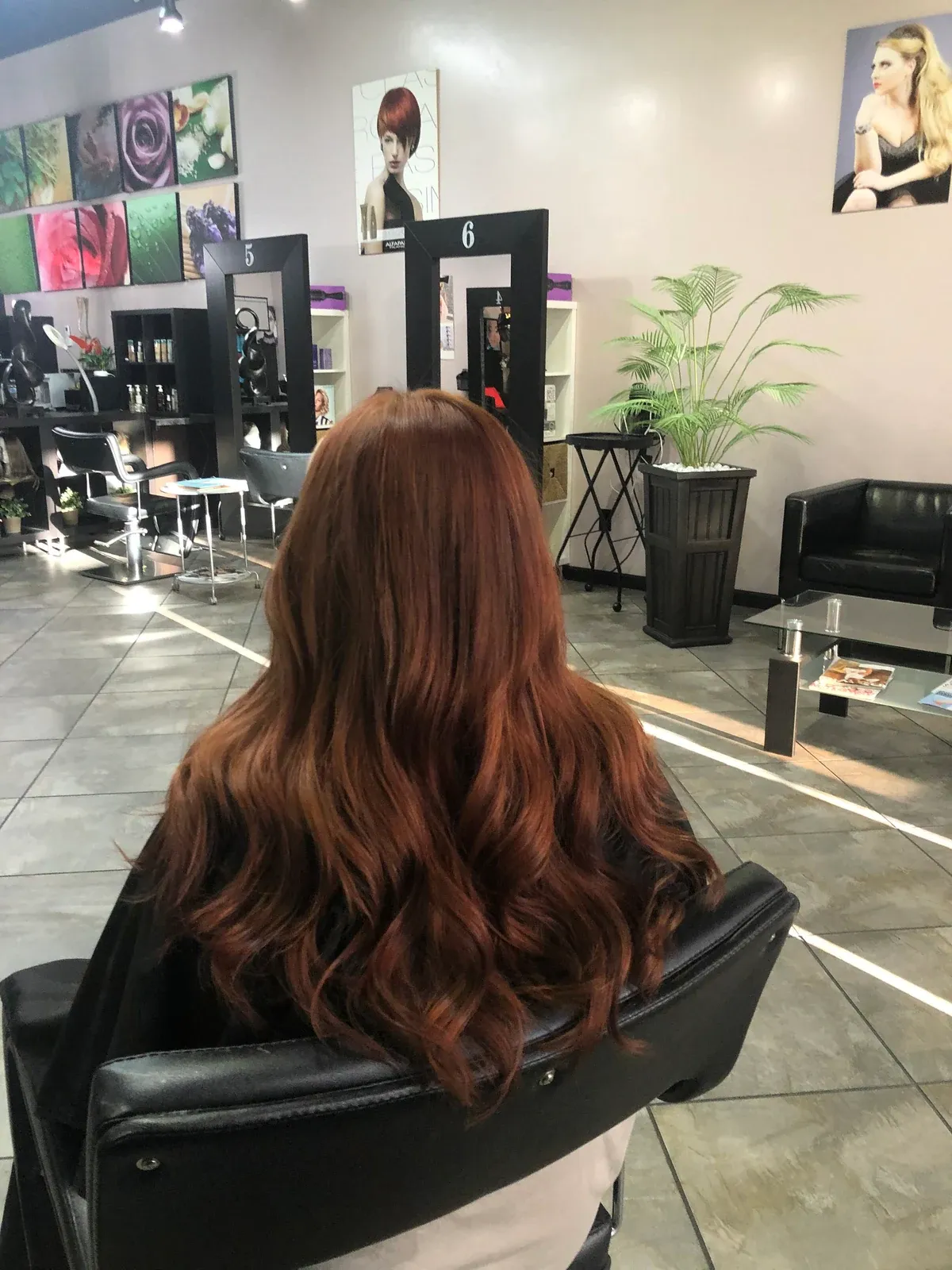 Single-Process Hair Color Services