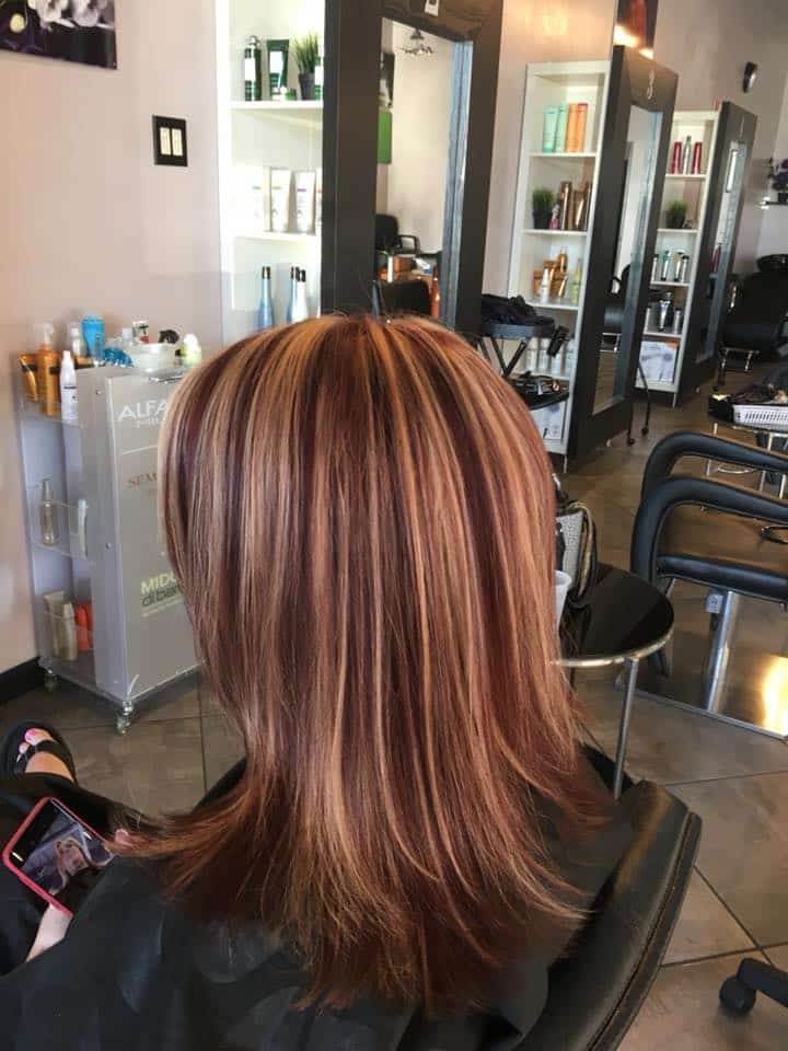 Lowlights Hair Color Services
